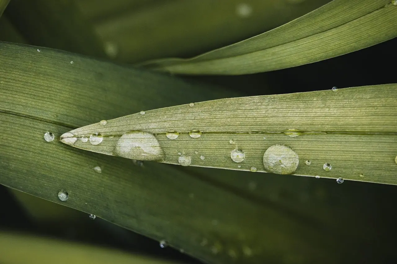 Hvordan kan jeg læse og fortolke målingerne på min regnmåler?